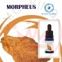 ENJOYSVAPO Morpheus Aroma 10ml