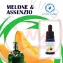 ENJOYSVAPO Melon & Absinthe 10ml