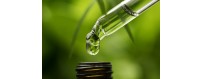 ONLINE CANNABE OIL SALES CBD ITALY AND CANNABIS CRYSTALS C B D