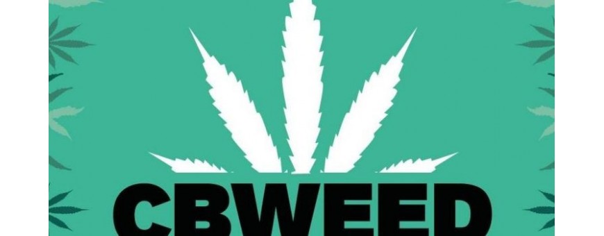 Cbweed Cannabis Legal smo-kingshop.it