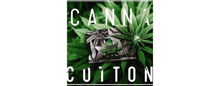 COTONE CANNABIS smo-kingshop.it