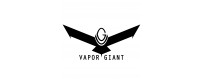 Vapor Giant Spare Parts