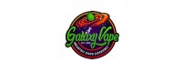 GALAXY VAPE LIQUIDI SCOMPOSTI | SmoKingShop
