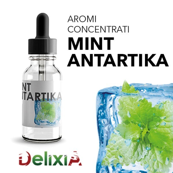 Mint Antartika Aroma 10ml Delixia