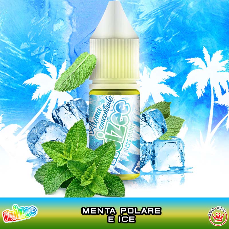 ICEE MINT Aroma 10 ml FRUIZEE