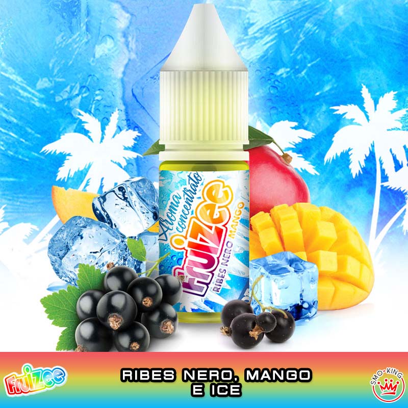 RIBES NERO MANGO Aroma 10 ml FRUIZEE