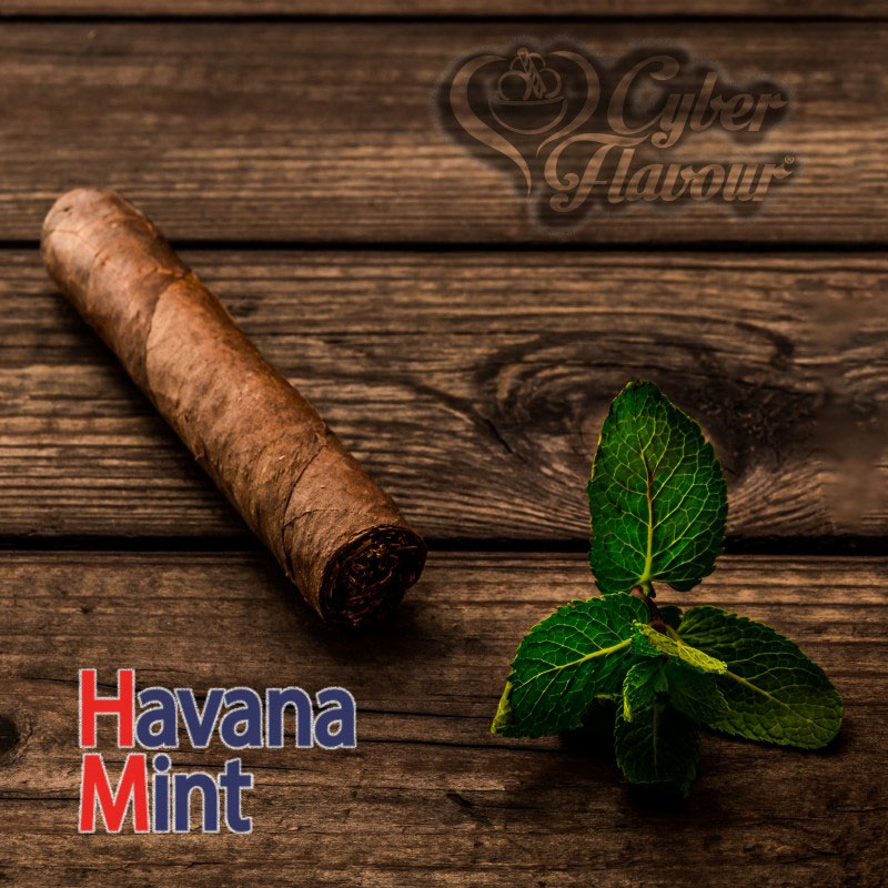 Havana Mint Aroma Concentrato 10 ml Cyber Flavour