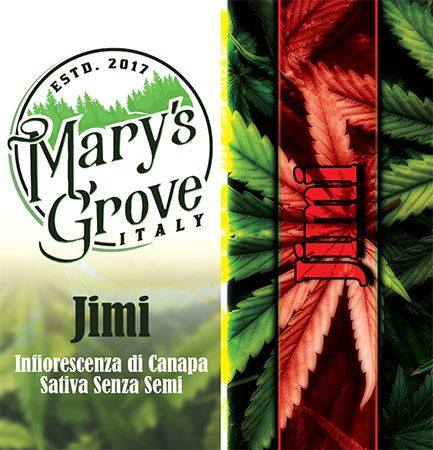 2 grow shop centocelle roma GROW SHOP CENTOCELLE ROMA 26991588 141435133214079 8748818421952571982 n