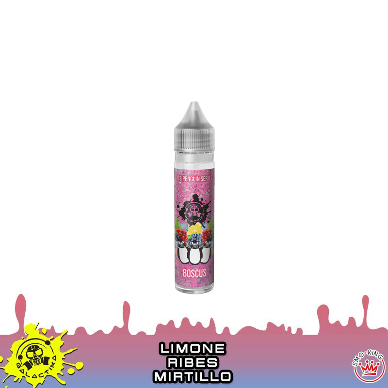 Boscus Aroma 20 ml Pinguini Galactika