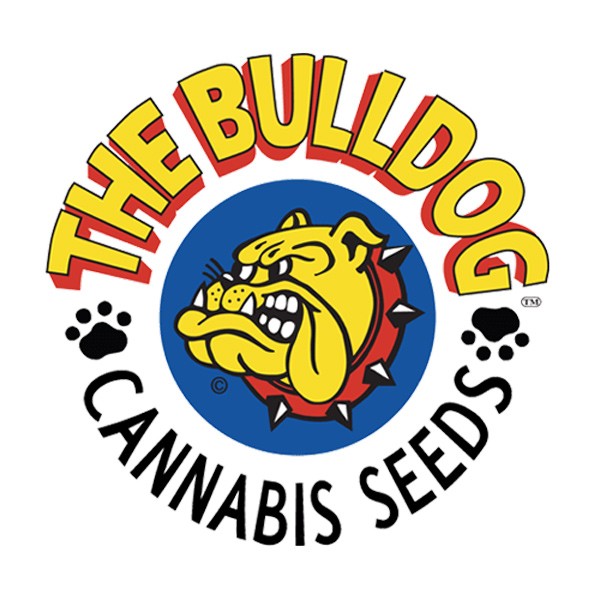 THE BULLDOG